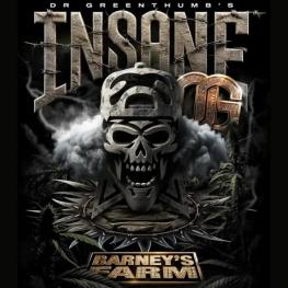 Insane Og (x3) Feat. Dr. Greenthumb's Insane Og (x3) Feat. Dr. Greenthumb's